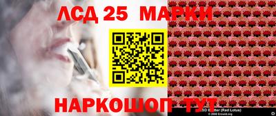 крисы Коммунар