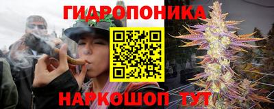 крисы Конаково