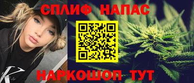крисы Коммунар